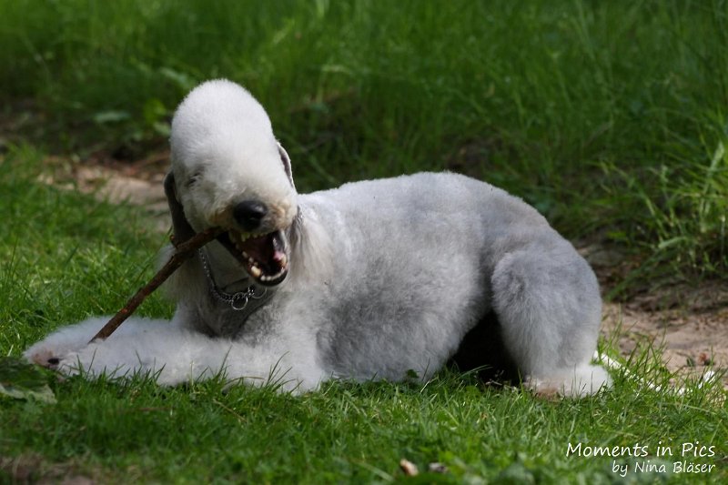 2010-05-29 Alanna und Svet (18).jpg - Arc-en-ciel Alanna 2010-05-29